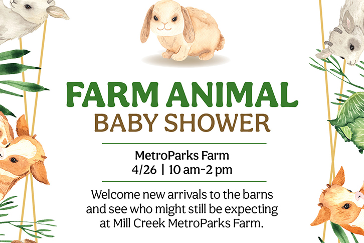 Farm Animal Baby Shower
