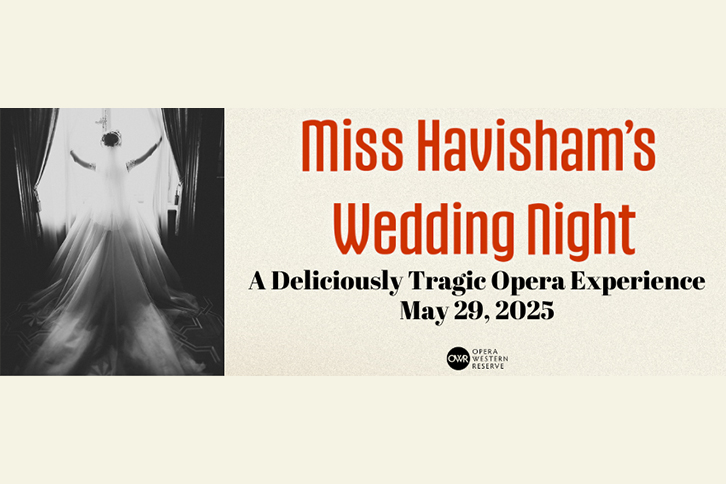 Miss Havisham's Wedding Night