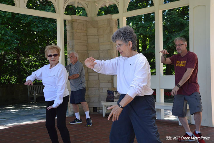 T'ai Chi Basics for Beginners Course