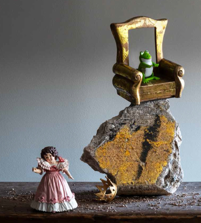 The Prince Was A Frog