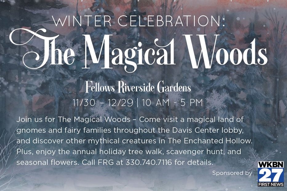 Winter Celebration The Magical Woods