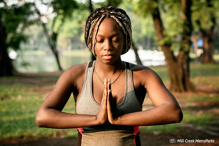 Yoga Basics Course